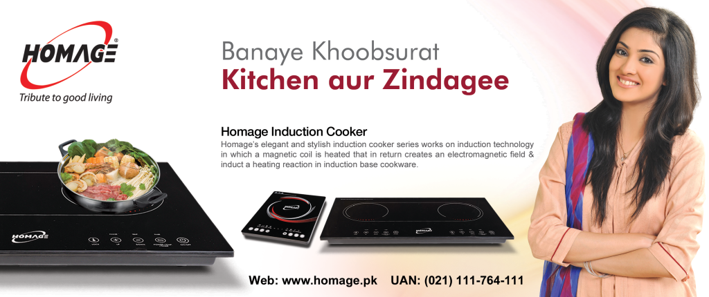 homage induction electric stove hc201